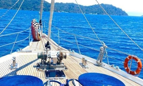 WhatsApp-Image-2023-11-04-at-11.39.50-1